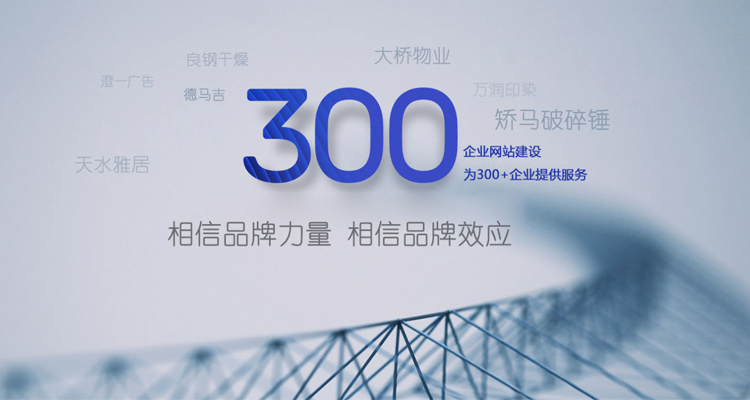 江阴网络公司-网站建设-网店淘宝装修-百度seo优化-江阴精通